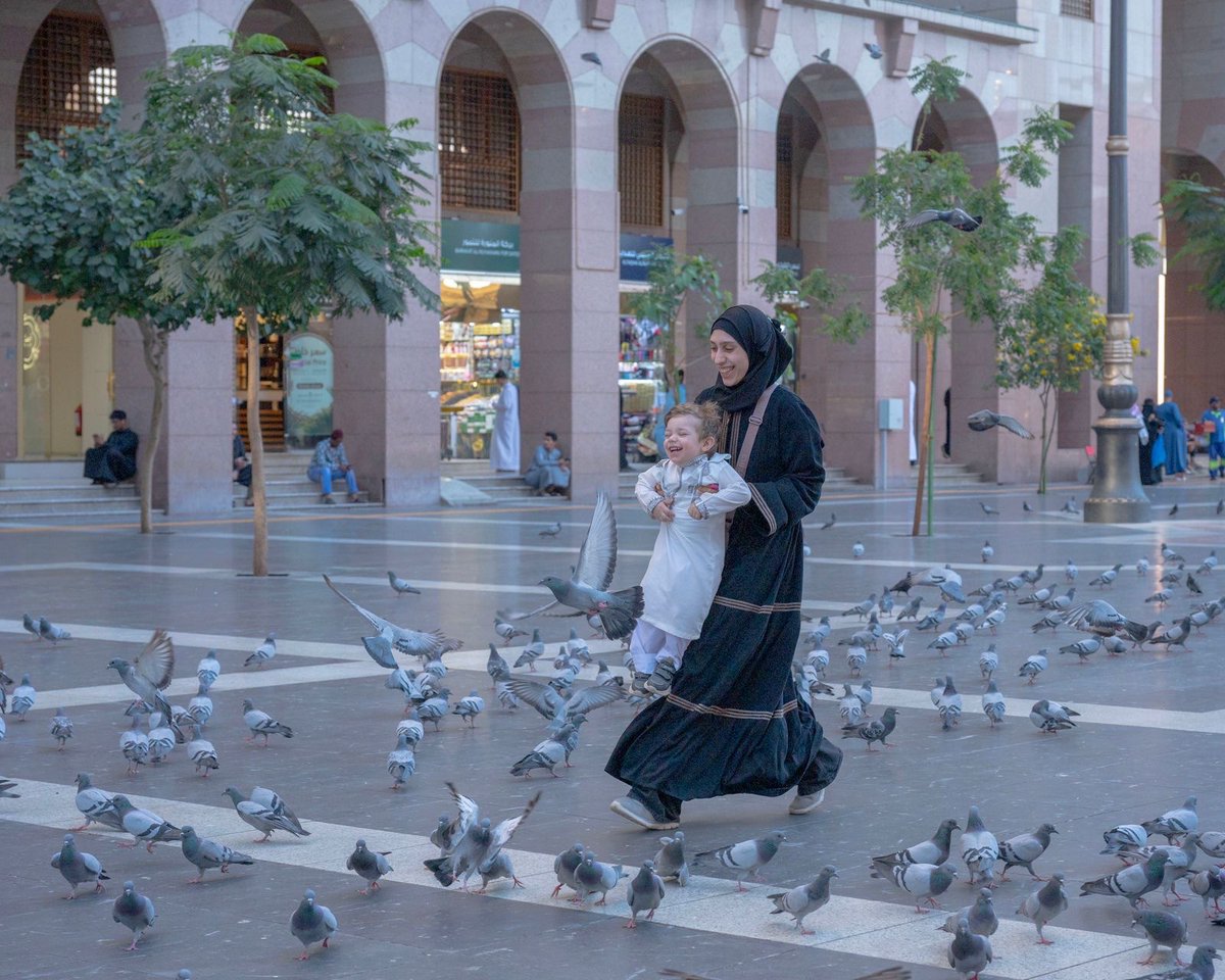 أمانة منطقة المدينة المنورة tweet media