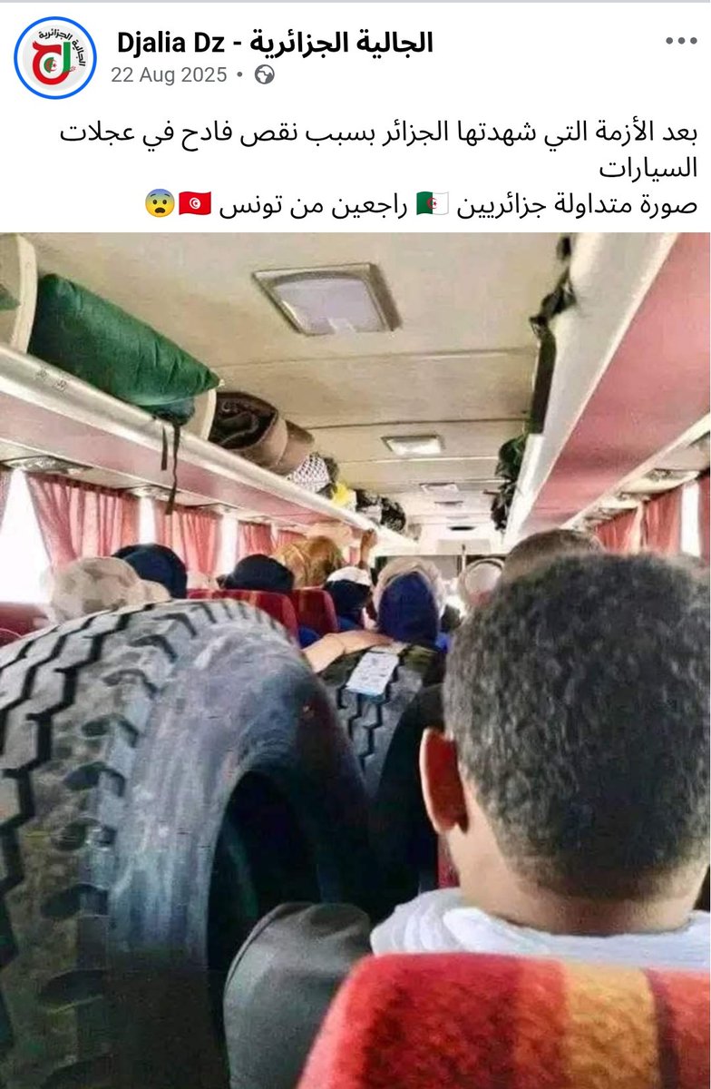 تونسي 🇹🇳 امازيغي حر 🇹🇳 tweet media