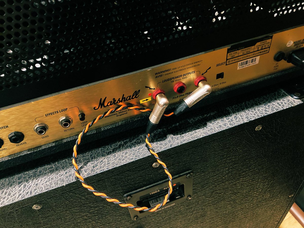 東京メタルシティ🦈⚡️🦈 tweet media