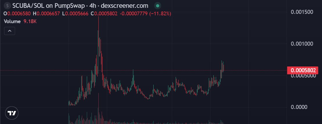 币圈小白白🔥 tweet media