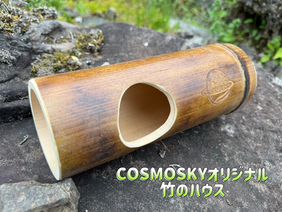 COSMOSKY_star's tweet photo. ⭐🎋COSMOSKYの新商品🎋⭐
完全天然素材‼竹のハウスとトンネルができました🐹🌱竹本来が持��消臭・抗菌効果はもちろんのこと、天然素材のためペットがかじっても大丈夫✨数量限定ですがローデンツ名古屋から販売開始いたします🙌🏻💭是非店頭でご覧ください🎉 #ローデンツ名古屋 #COSMOSKY https://t.co/pUqTS4vTjQ