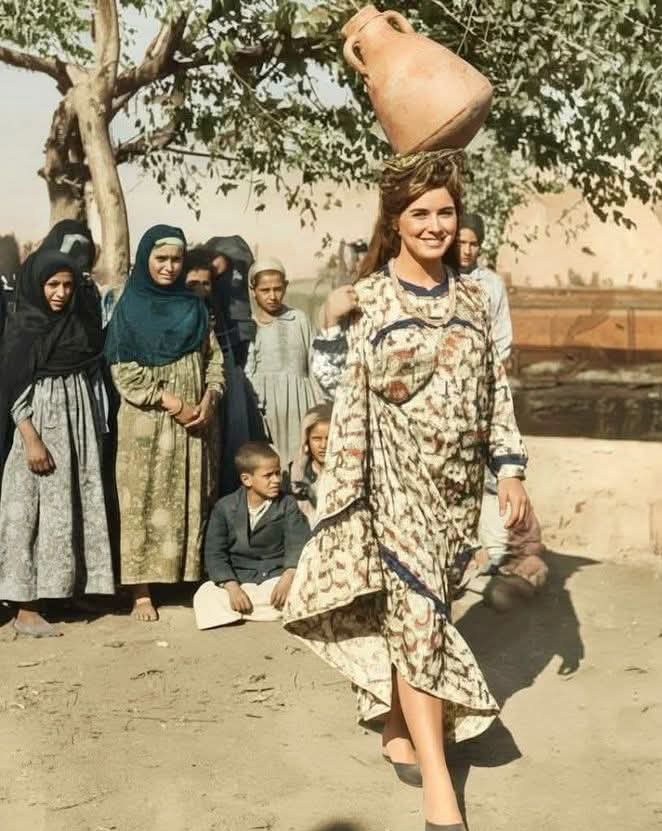 𓂀 Nefertiti : Nile Tales 𓅓 tweet media