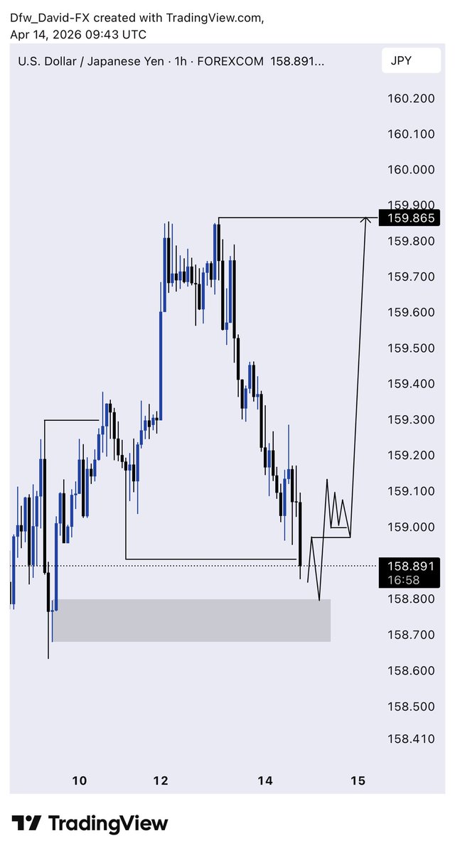 DAVID 📊 tweet media