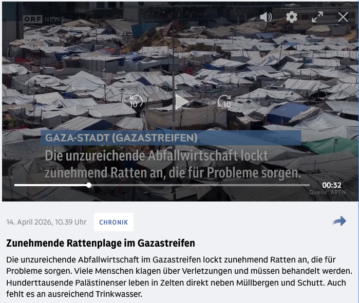 Seinen westmedialen Opferstatus wird #Gaza nicht mehr los – wozu auch?
Coming soon: Hitzekatastrophe, ab Herbst Sintflut &amp; Schneemassen. Derweil drehen vollgefressene Hamasterroristen ihre Runden in vollgetankten, UNRWA-finanzierten Pick-ups. Was ist mit der Müllabfuhr? Streik?