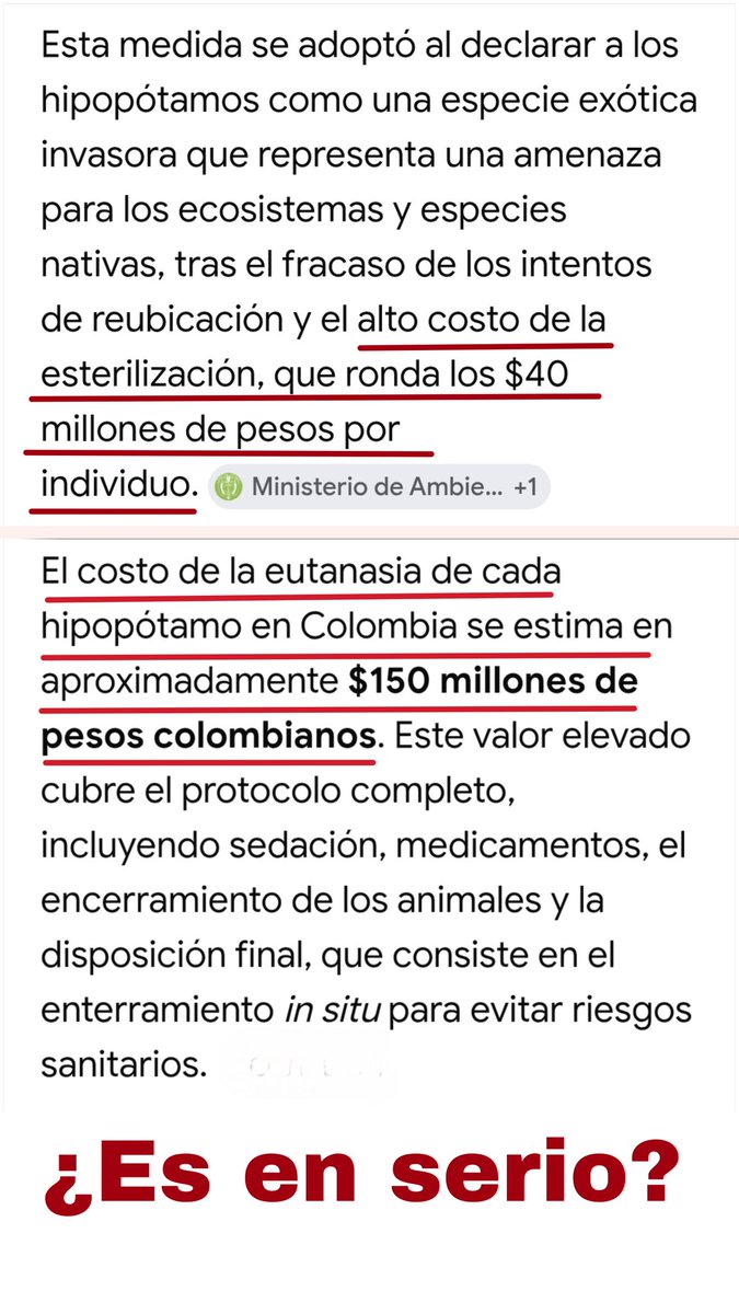 RojoVida tweet media