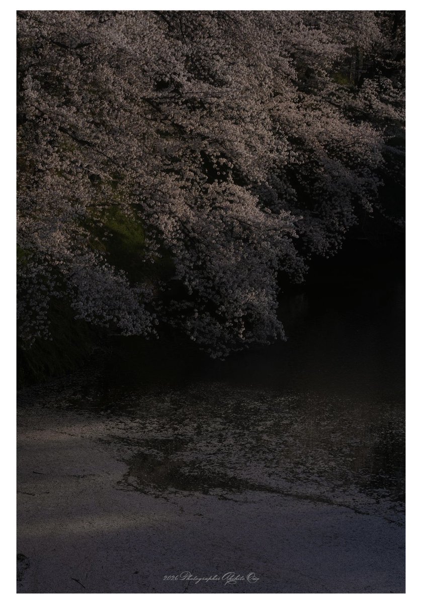 ArtBridge8 tweet media