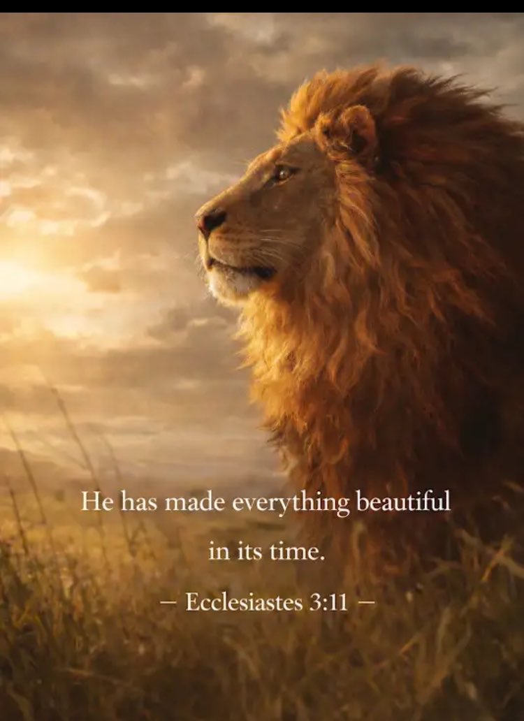 #mymotivation #myfortess #myGodJesusChrist.