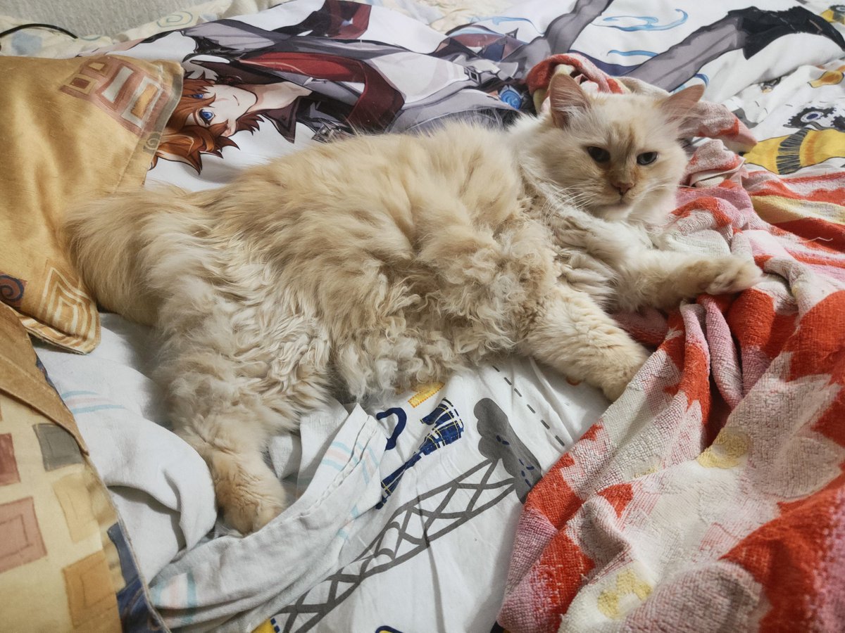 osmanthus whining tweet media