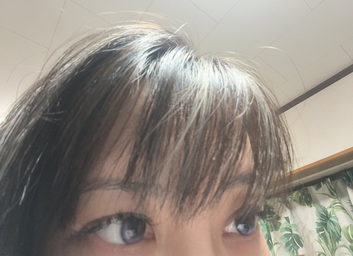 cocoon RAY tweet media