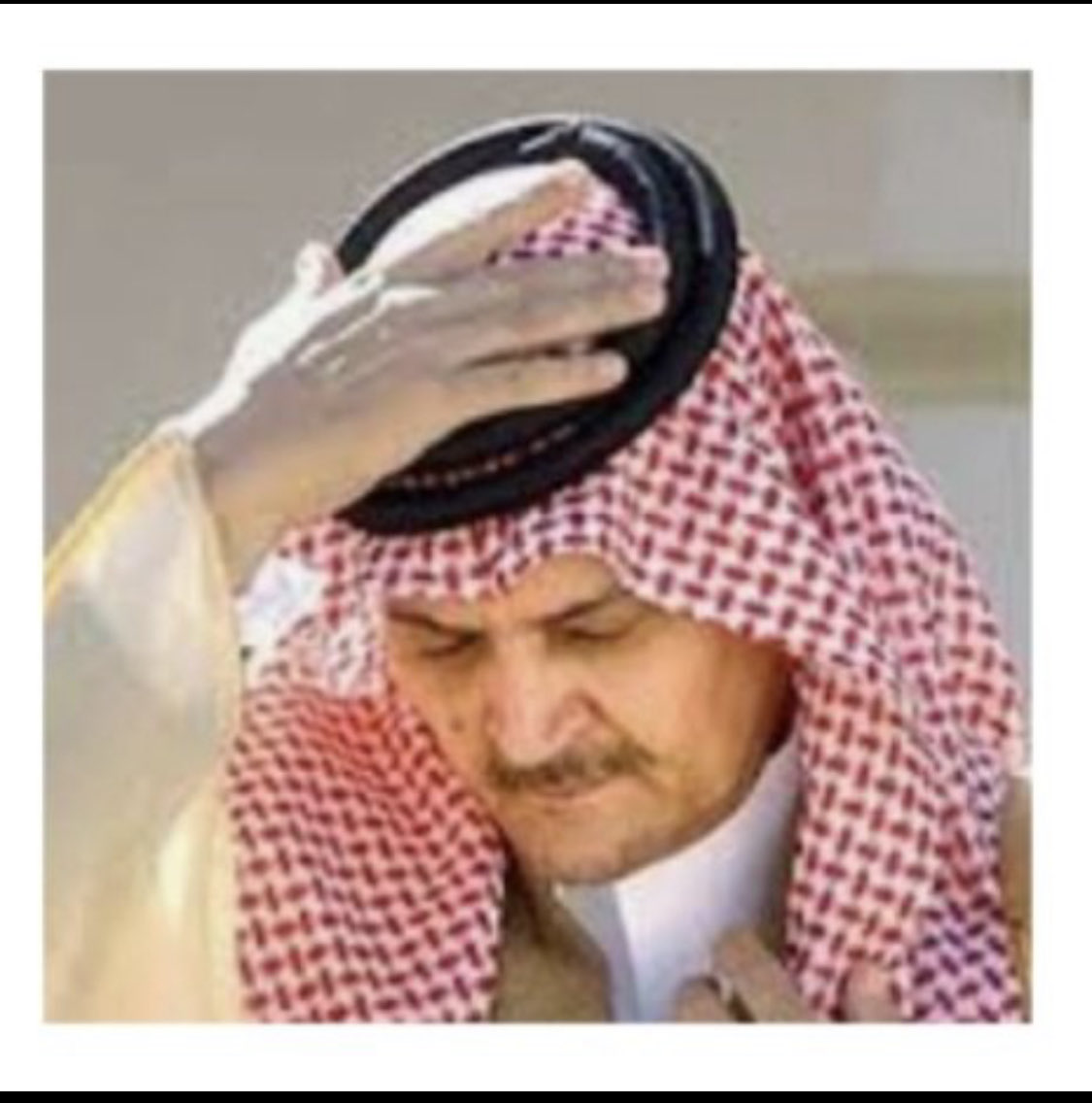 🦋🦋 tweet media