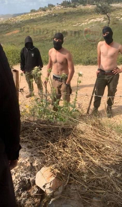 Yossi Eli tweet media