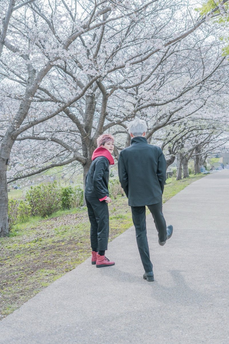 ぽぉ助 tweet media