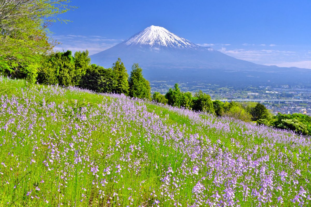 Hiroshi Yamamoto tweet media