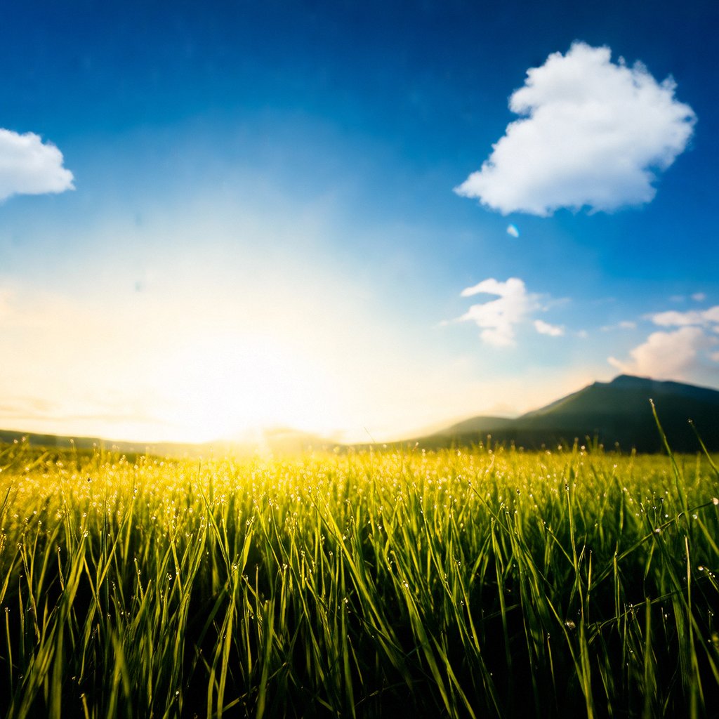 l_sdam's tweet image. "Every 'I can't' is a door to 'I just did'—break the barrier, own the win.  #ChallengeAccepted #Breakthrough"