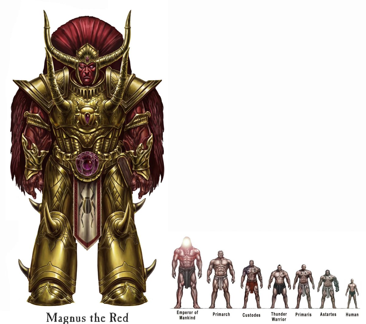 Primarch and Emperor of Mankind height comparison