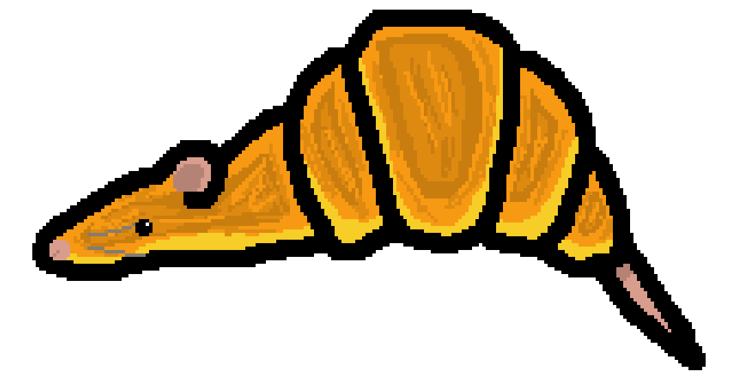 Pigeon God tweet media