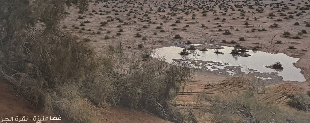 حمد القاضي tweet media