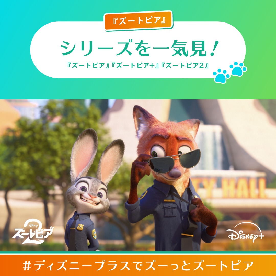 𝚢𝚘𝚙𝚘 tweet media