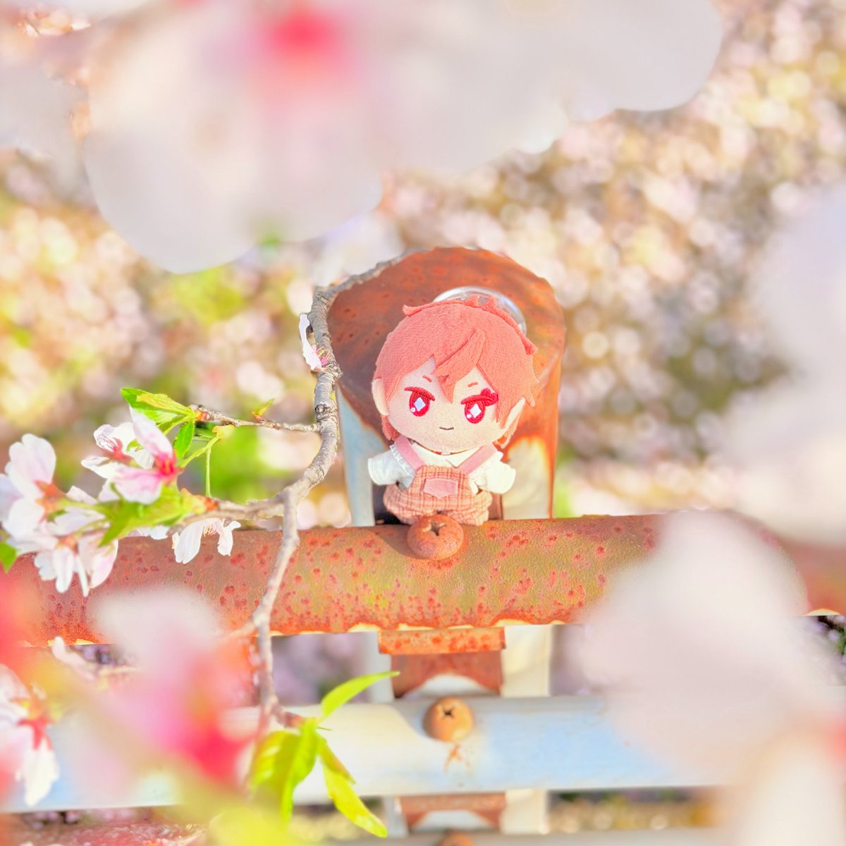 このアカウントを始めて一年が経ちました🕊
人生で初めて撮ったぬい撮り(左)と比べると、色々と変わったなぁと感じます。
これからも、私の好きな瞬間を載せていけたらいいなぁと思います⋆⸜🌷⸝‍⋆
そして私と繋がってくださった方々、本当にありがとうございます!!♡