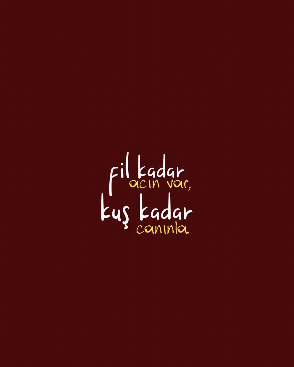 77Sayfa's tweet photo. *fil kadar acın var, kuş kadar canınla. https://t.co/FAvfjrx8bq