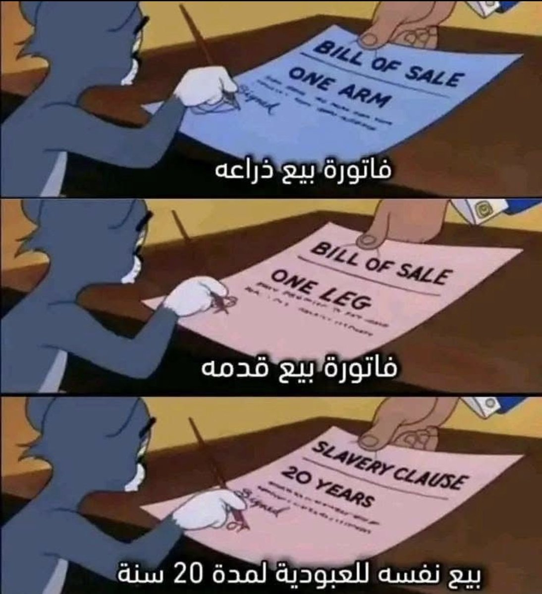 Emiya_الساخر tweet media