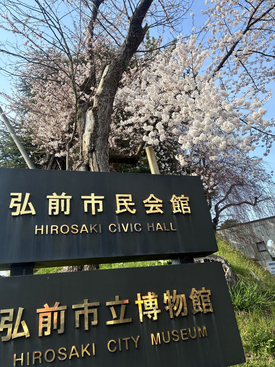 22eternity's tweet photo. 今年も咲きました🌸
満開にはまだ早いけど https://t.co/zZLaGDIUoV