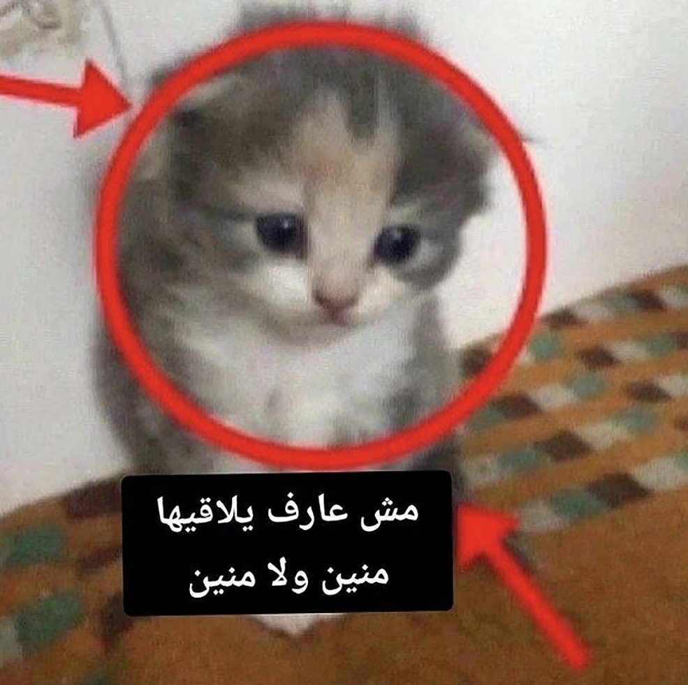 notebns's tweet photo. كفاية صدمات لليوم🙏🏻 https://t.co/x0cIooMxsO