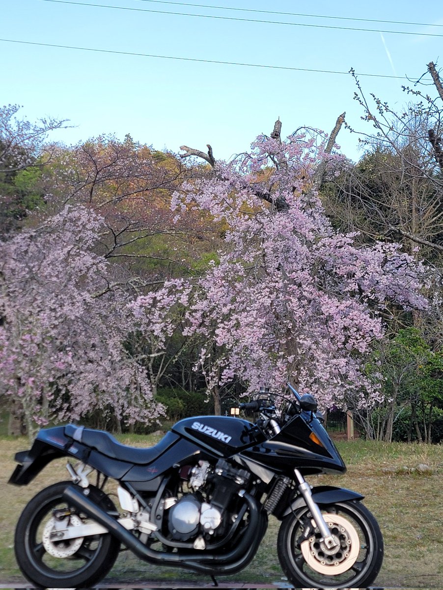 C3427's tweet photo. #バイクは黙って真横で勝負 https://t.co/x3nGytWZp1