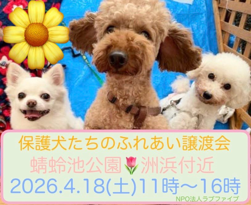 NPO法人LoveFive tweet media