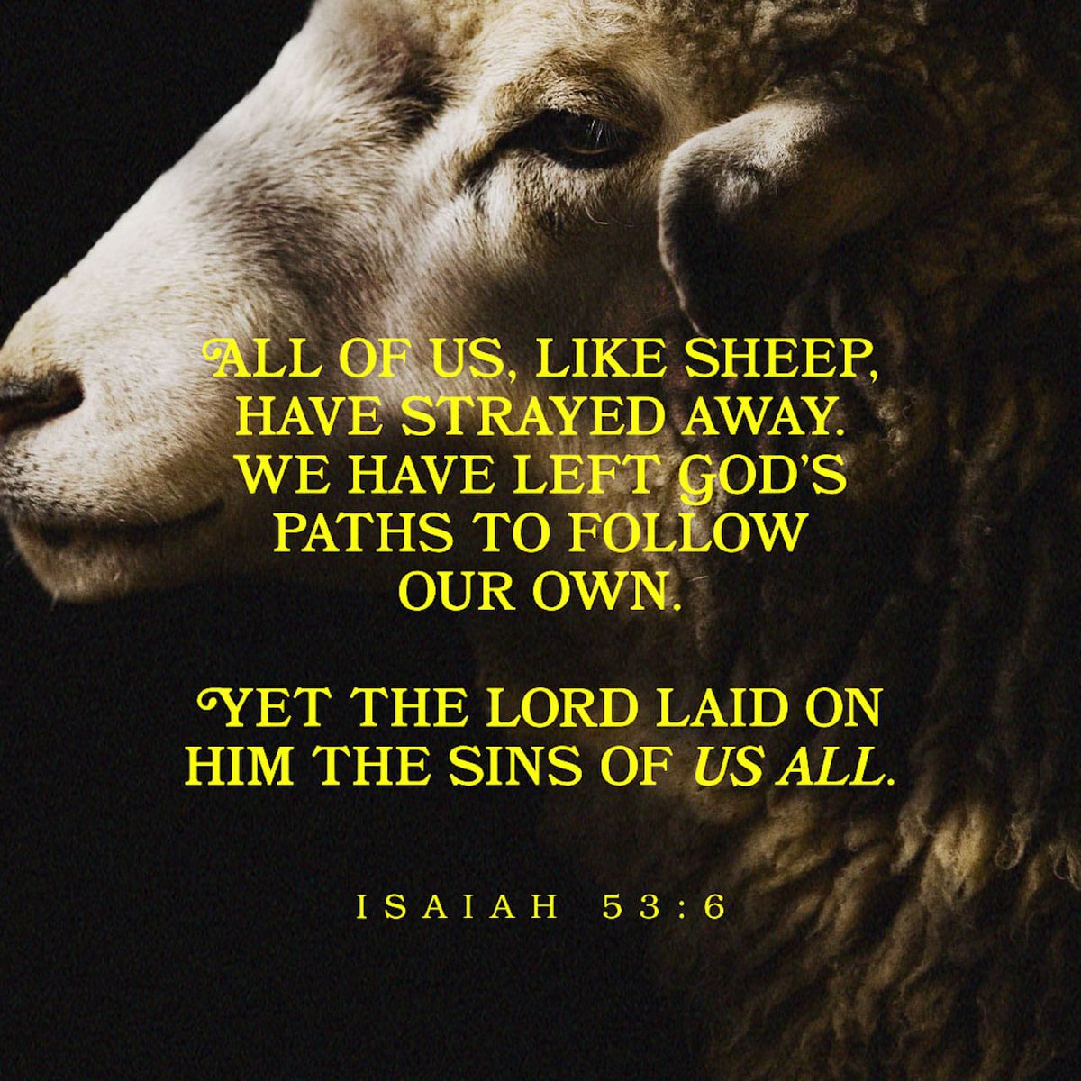 MrsJsClassroom's tweet photo. Isaiah 53:6 https://t.co/lXG8ZjaUL5