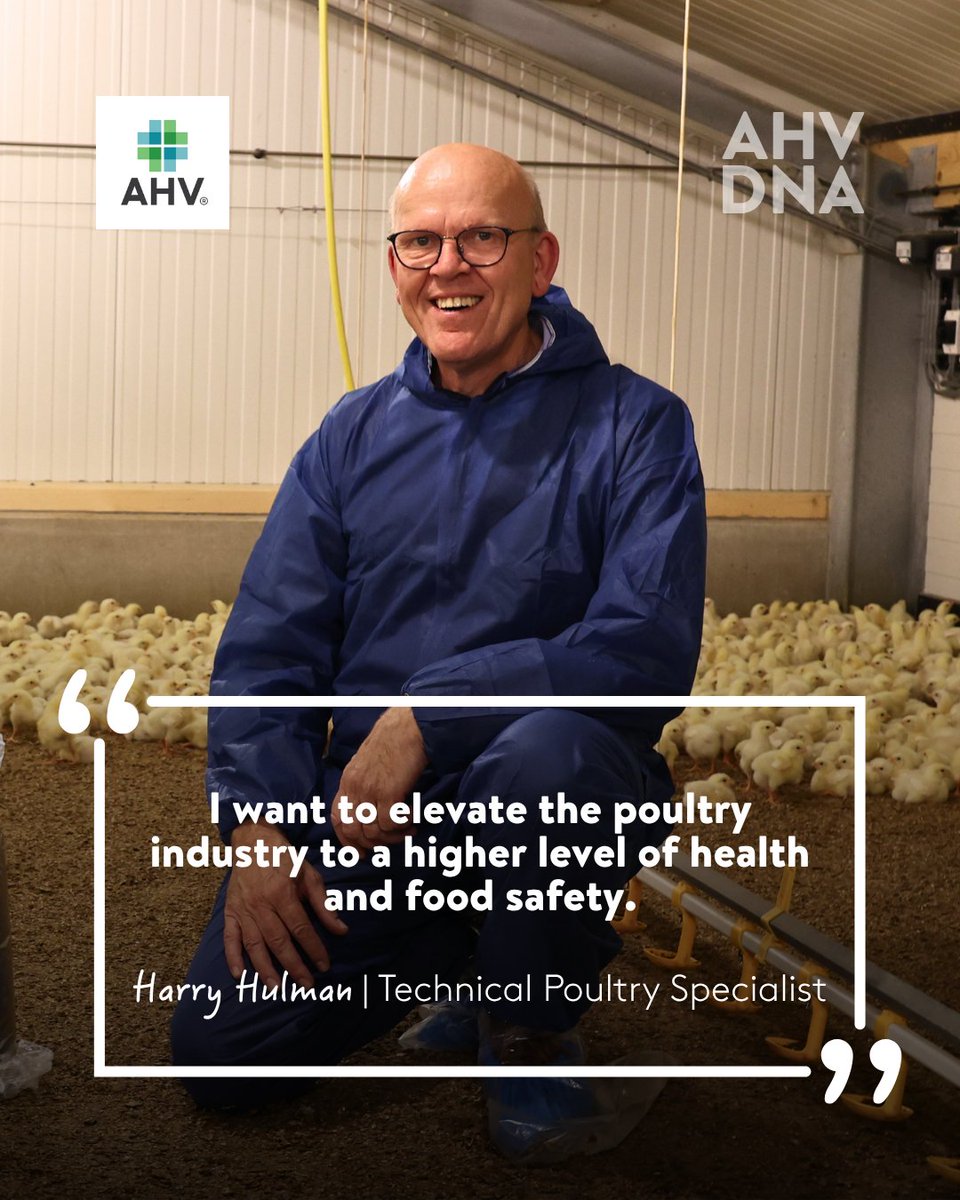 AHV International tweet media