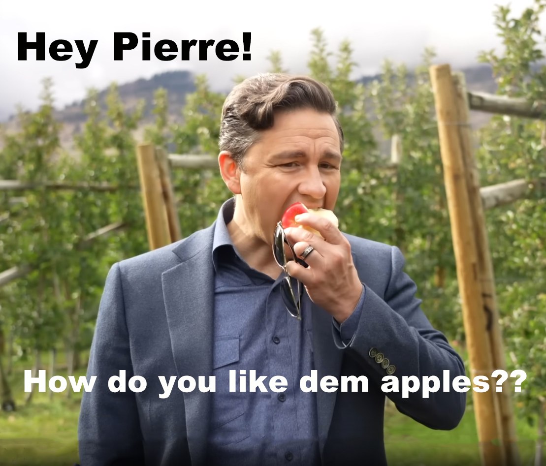 Jim Lambie 🇨🇦 tweet media