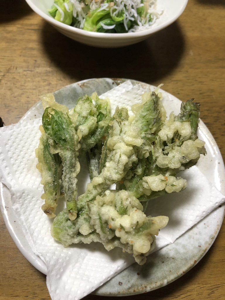 saurus_next tweet media