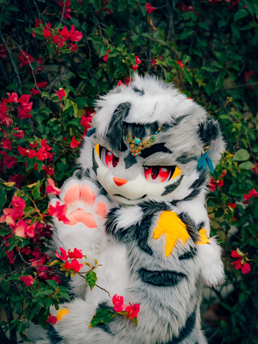 Taka (@taka0919511) on Twitter photo 