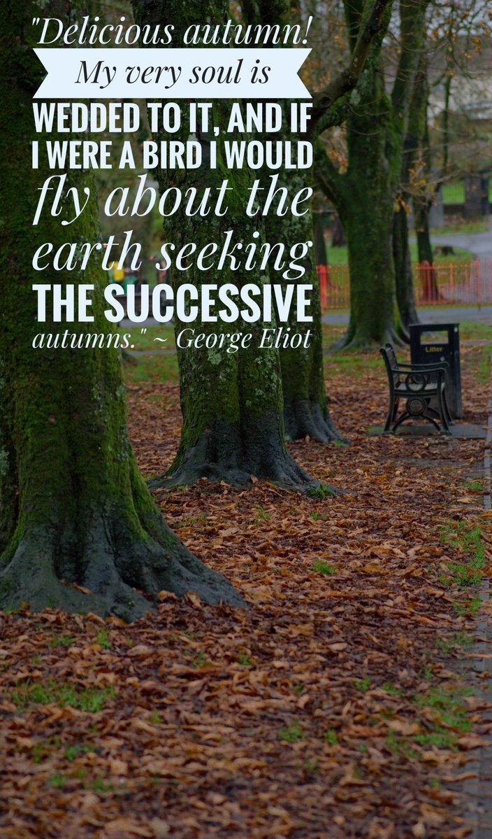 Words and Pictures #quote, #quotes,#quoteoftheday, #nature see more at delweddauimages.co.uk/441559320/word…