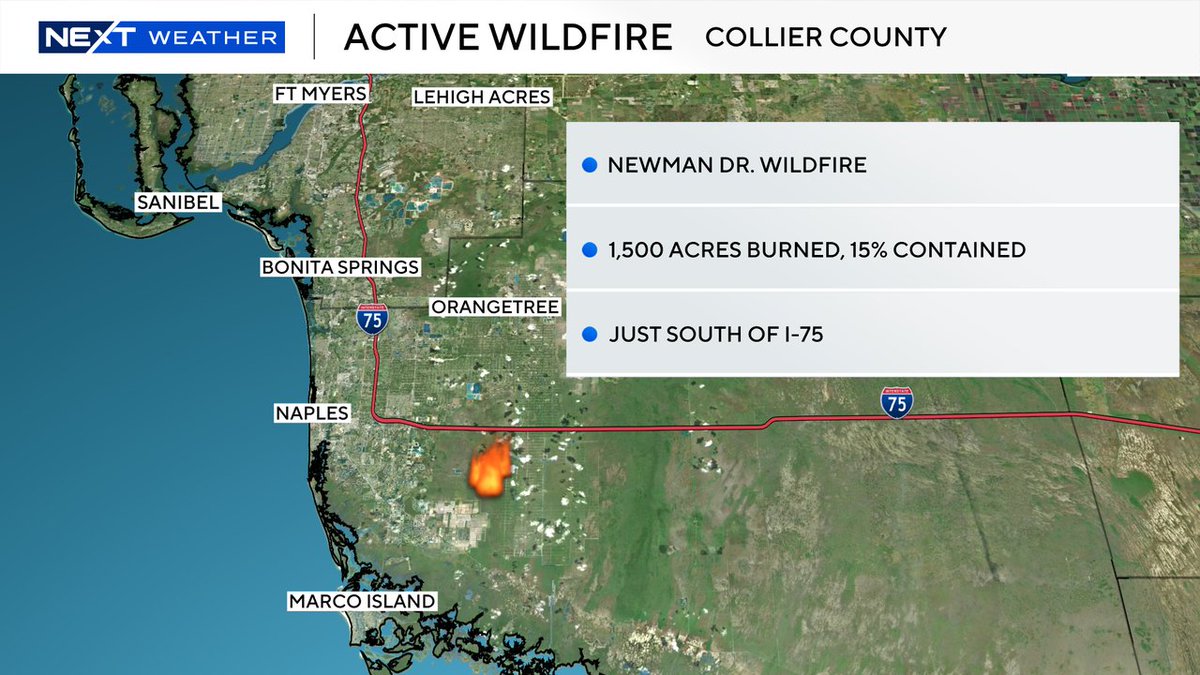 Lissette Gonzalez tweet media