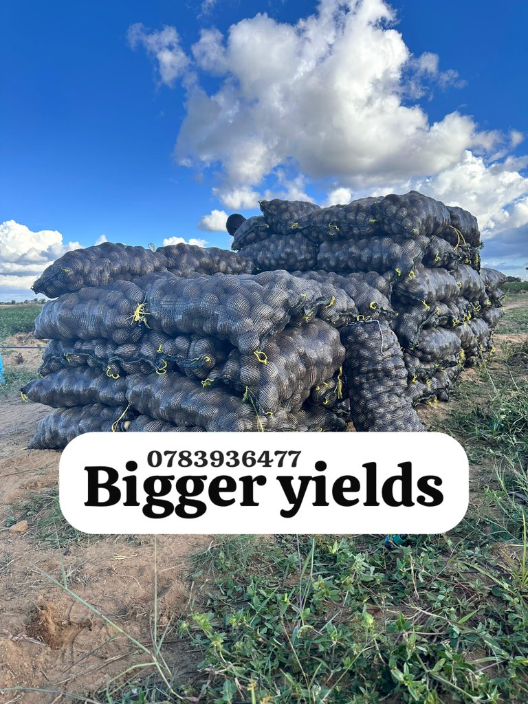 Farmbuzz Agriculture tweet media