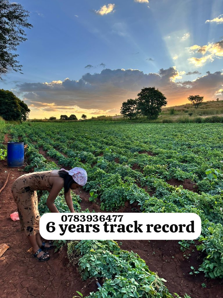 Farmbuzz Agriculture tweet media