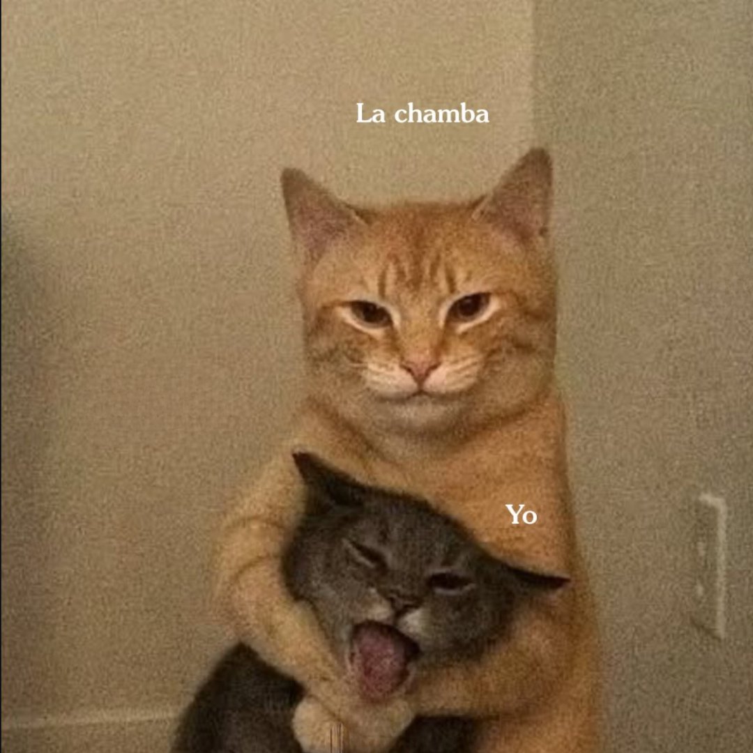 carlaconwifi's tweet photo. así estamos en este momento... https://t.co/AaQh1sM6f7