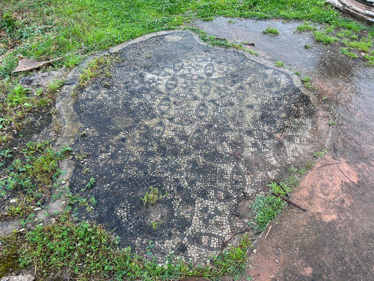 vaticannews_fr's tweet image. 🇩🇿 🛬 À 11 h32 (heure de Rome), Léon XIV a atterri à Annaba, l'ancienne #Hippone. Plusieurs rendez-vous sont prévus dans la journée avant de rentrer en soirée, après la messe, en #Algérie.
📸© Vatican Media