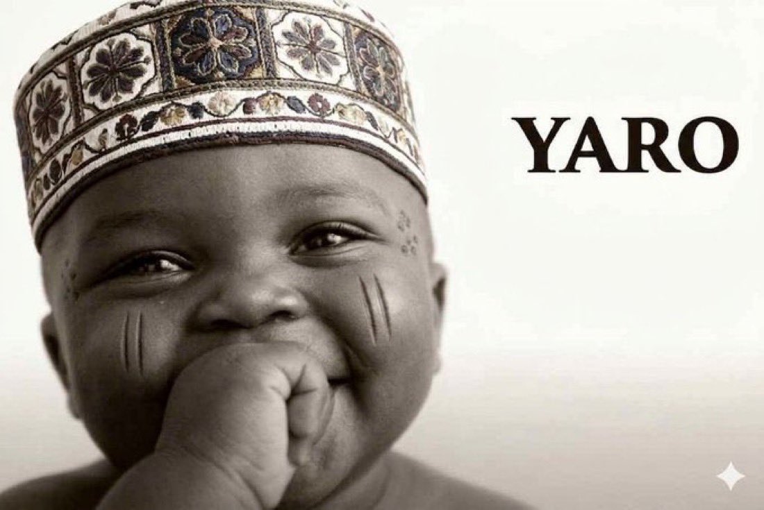 𝐁𝐢𝐠 𝐍𝐨𝐧𝐬𝐨🏂 tweet media