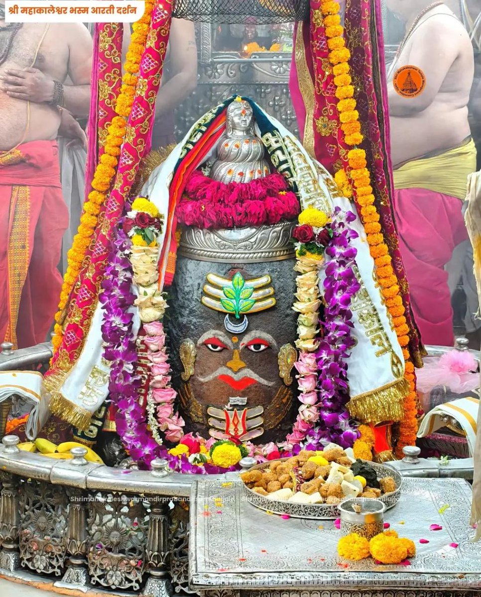 The परमार साहब tweet media