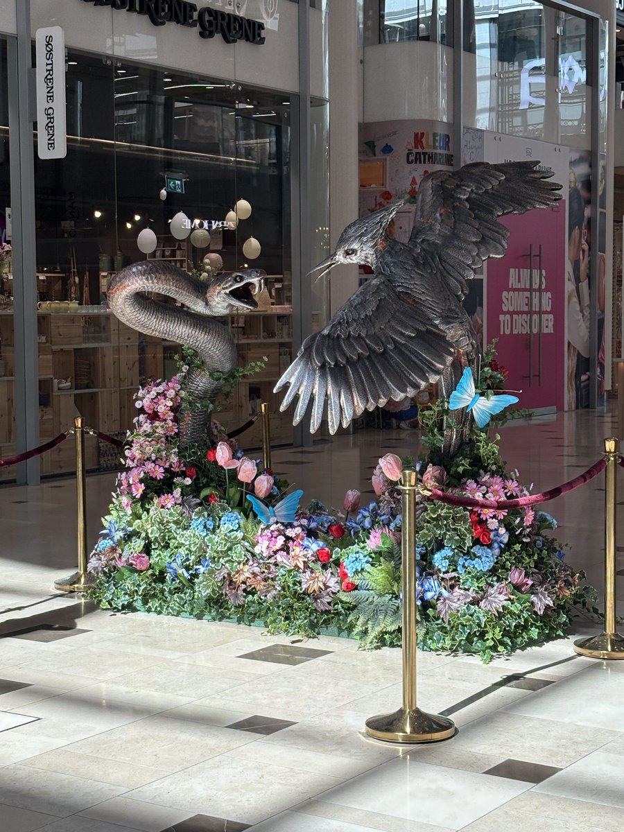 rose ★ tweet media