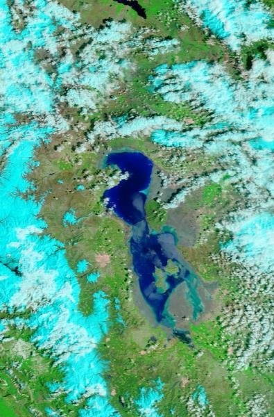 Nasser Karami ناصر کرمی tweet media