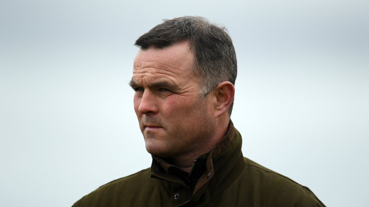 oddsracing tweet media