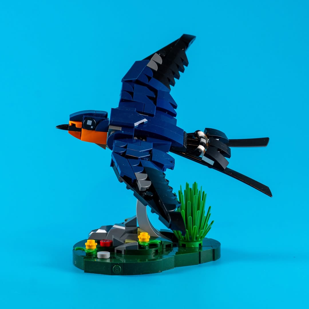 lgmbricks's tweet image. Lego Moc - Barn Swallows

Please follow 
credit skabram.builds | Instagram
.
.
Please follow for new sets and news.
👉 instagram.com/lgm.bricks
#Lego #Moc #legobirds