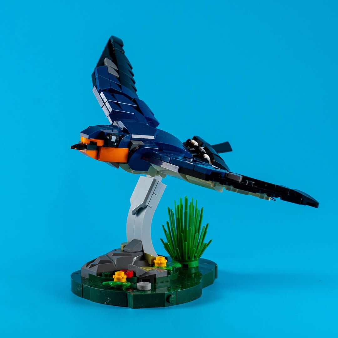 lgmbricks's tweet image. Lego Moc - Barn Swallows

Please follow 
credit skabram.builds | Instagram
.
.
Please follow for new sets and news.
👉 instagram.com/lgm.bricks
#Lego #Moc #legobirds