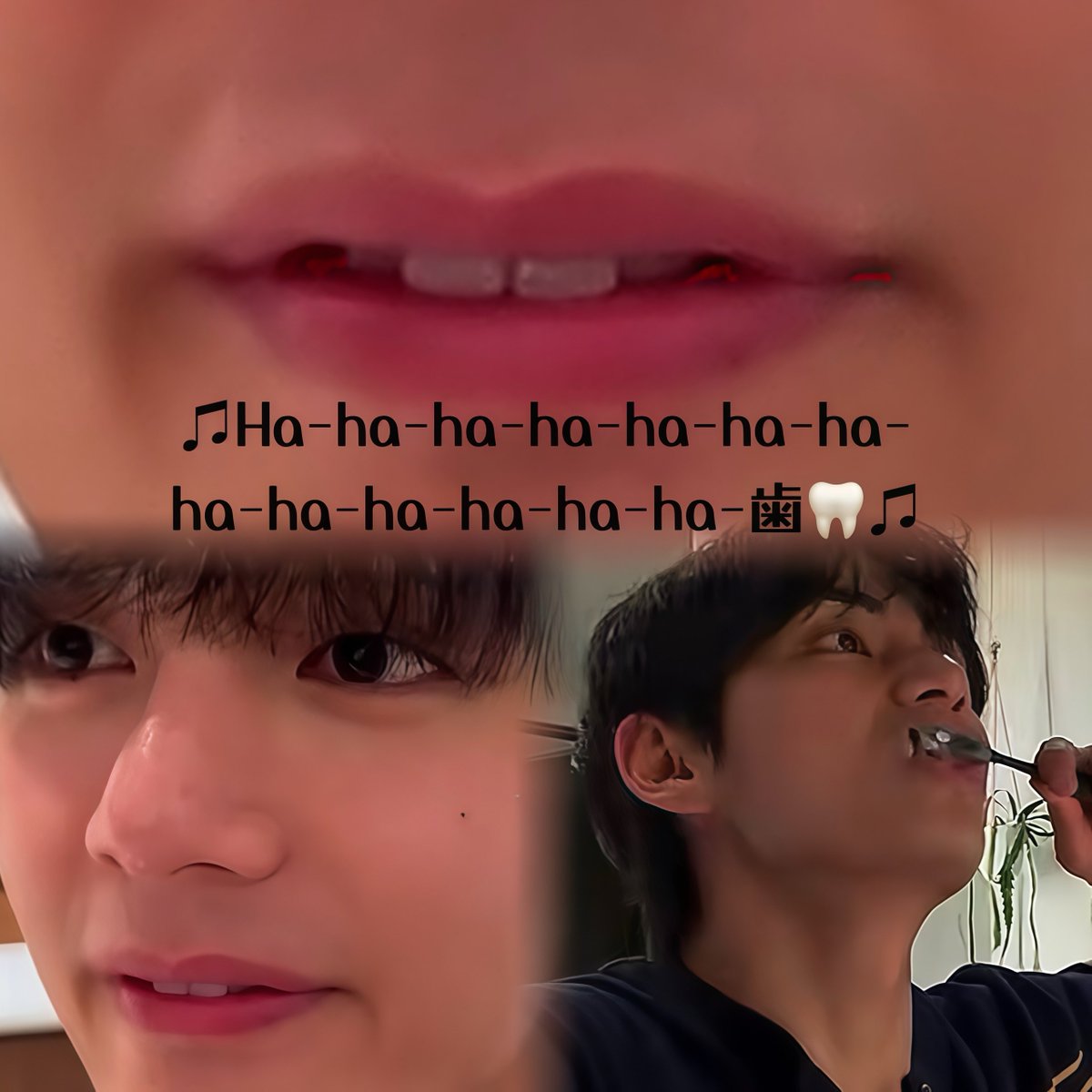 枝豆🫛 tweet media