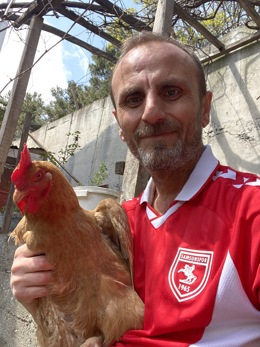 Bizim,
Tavuklarımız da,
Samsunsporlu…