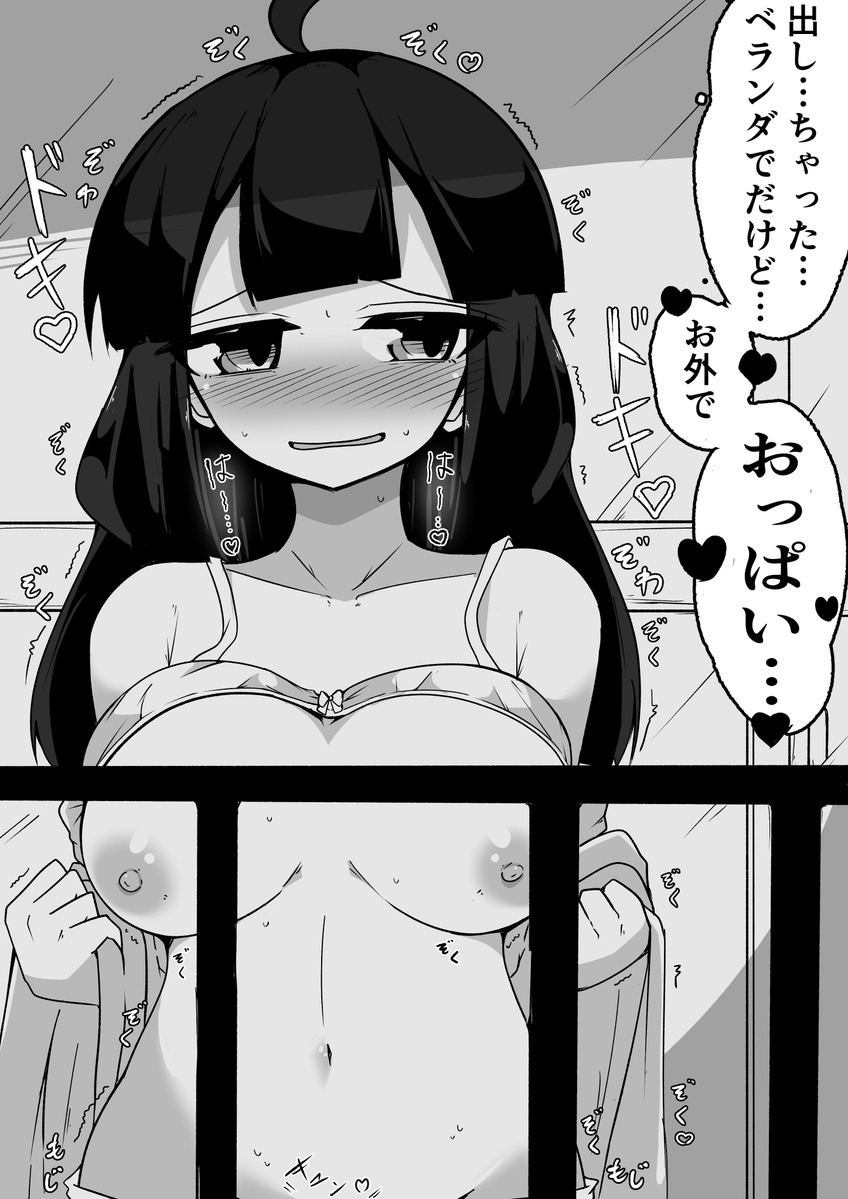 うちのこ野外露出セット 